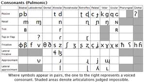 International phonetic alphabet chart for english dialects. Consonants