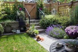 Learn how to plant and care for bougainvillea and discover 8 of the best bougainvilleas to grow in your garden. How To Stop Your Dog From Eating Slugs Cooper Gracie
