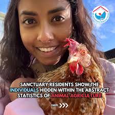 Triangle Chicken Advocates