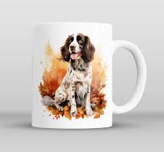 Image result for anglický špringršpaněl