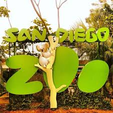 San Diego Zoo Balboa Park San Diego Ca San Diego City San Diego Zoo Balboa Park San Diego