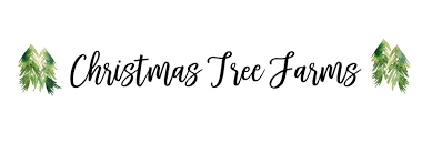 Check spelling or type a new query. Rochester Mn Area Christmas Tree Farms