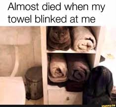 Almost Died When My Towel Blinked At Me Ifunny Funny Animal Jokes Funny Animal Quotes Really Funny Memes