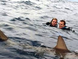 Shark movies: The chompiest, bitiest, greatest sharks in cinema history,  ranked | British GQ