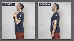 Image result for Elbow Extension Test