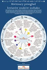 Baran to bardzo silny znak zodiaku, któremu patronuje żywioł ognia. Odkryj Kwiaty Znakow Zodiaku