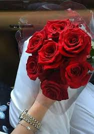 pin by sumaiya khan on flowers red roses rose flowers
