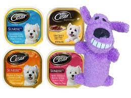 Cesar Sunrise Best Wet Dog Food Wet Dog Food Canned Dog Food Smoked Bacon