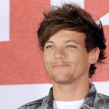 Zayn Malik Net Worth