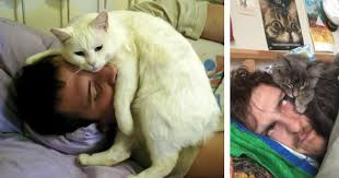 Apa Yang Akan Terjadi Jika Anda Tidur Bersama Kucing Kartel Dakwah