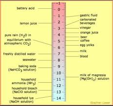 Litmus Paper Types Sciencing