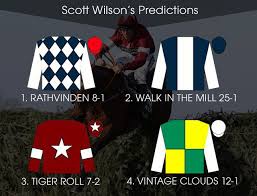 The list of grand national runners is surely going to change as the race day approaches. Grand National Pinstickers Guide 2019 Runners Riders And Colours The Northern Echo