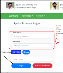 The ysr rythu bharosa scheme is all set to be released on 15th october 2021. Ap Ysr Rythu Bharosa Payment Status 2021 List 1st 2nd 3rd Installment