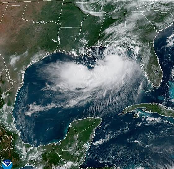 Tormenta tropical Bertha se fortalece y amenaza la costa del Golfo de EEUU - OnCubaNews