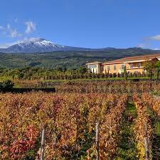 Image result for Isoglossa vulcanicola