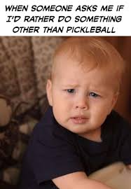 Why do people ask such silly questions? 😲