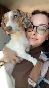 Are there any trustworthy dog walkers in Merrimack, NH with experience  handling reactive dogs?