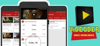Videoder Download Music And Videos For Free From Youtube Videos Youtube Download