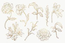 Gold Floral Outline Set Transparent Png Premium Image By Rawpixel Com Nunny Flower Drawing Flower Outline Flower Illustration