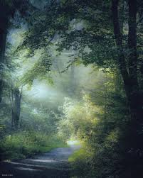 Pin On Amor Ala Naturaleza