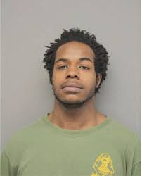 ᐅ Illinois Criminal Records 2009-2026