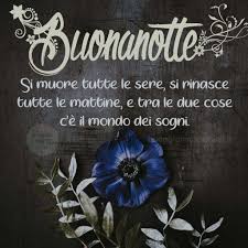 È una tendenza a cambiare l'immagine di whatsapp. Immagini Buonanotte Fiori Di Sole