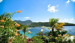Most of the island is steep and covered with different kinds of native forests. Island Hopping Dominica Franzosische Antillen 13 Tage Rundreise