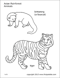 Free, printable coloring pages for adults that are not only fun but extremely relaxing. Amazon Jungle Or Rainforest Animals Free Printable Templates Coloring Pages Firstpalette Com