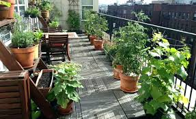 A terrace garden is always bigger than a balcony garden, so you should make some effort to maintain it. How To Create An Awesome Balcony Garden In Your Apartment
