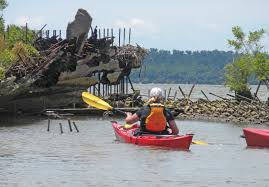 Located on the potomac river only 30 miles downstream from our nation's capital, mallows bay is renowned for its diverse. Mallows Bay Ghost Fleet Paddle Potomac Riverkeeper Network