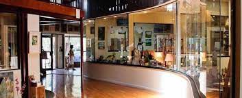 The Hub On Canal New Smyrna Beach Smyrna Canal