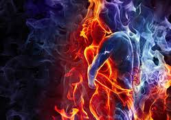 Nature love love love life wallpaper. Love Wallpaper Download Hd Wallpapers And Free Images