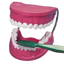 Image result for ochrana chrupu