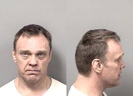 Dozens of plants seized in pot bust