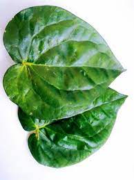 Maybe you would like to learn more about one of these? Blog Lipislady Khasiat Daun Sireh