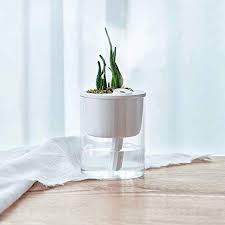 Amazon Com T4u Ultrasonic Cool Mist Humidifiers For Desktop With Mini Plant Container 320ml Cool Mist Humidifier Ultrasonic Cool Mist Humidifier Small Plants