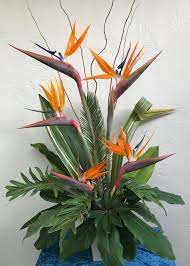 Birds Of Paradise Arrangement Tropical Flower Arrangements Tropical Floral Arrangements Paradise Flowers