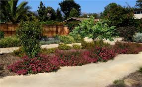 Diy backyard games are the perfect way to entertain your friends and family. Donna Lynn Landscape Designer Virtual Online Landscape Design And Plans For California And Arizona Design