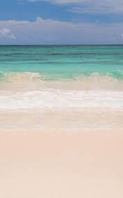 Pink Beach Wallpaper Stunning Pink Sand Design Muralswallpaper In 2020 Beach Wallpaper Pink Beach Beach Wall Murals