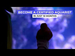 Choose from 500 different sets of flashcards about animal behavior college on quizlet. Aquarium Maintenance Career Animal Behavior College Youtube
