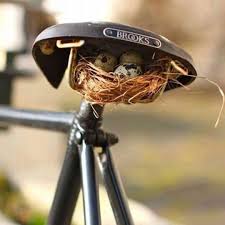 Island Of Silence Fahrradkunst Fahrrad Kunst Altes Fahrrad