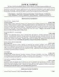Need Help With Resume Objective Essay Writers For Hire