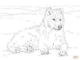 You can use our amazing online tool to color and edit the following detailed wolf coloring pages. Realistic Dire Wolf Coloring Pages Novocom Top