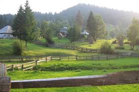 101 c location_onvezi pe hartă la aproximativ 6.7 km de centrul localității arieseni. Despre Garda De Sus Romania Prezentare Imagini Informatii Turistice Si Detalii Despre Statiunea Garda De Sus