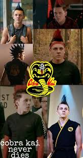 Terdapat banyak pilihan penyedia file pada halaman tersebut. Hawk Cobra Kai Karate Kid Cobra Kai Kid Cobra Cobra Kai Dojo