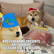 Doge 1080x1080 gamerpics 45+ doge wallpaper 1920x1080 on wallpapersafari. Le Presents Have Not Arrived R Dogelore Ironic Doge Memes Know Your Meme