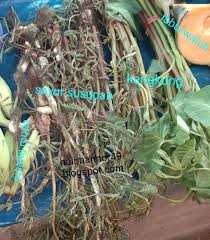 Udah hampir 3 tahun tinggal dipekanbaru.tetapi gak pernah namannya bikin sayur ini.karena susah banget nyari sayurnya.kadang yg ada cuma 1 macam.pas kemaren ada 3 macam.langsung. Khas Dan Budaya Daerah Kalimantan Gangan Karuh Susupan Khas Amuntai Kalimantan Selatan