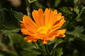 Explore More into her Naked Content - Porner Len