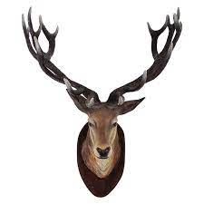 Deer Head Transparent Png Png Mart Deer Head Wall Mount Deer Heads Wall Deer Head