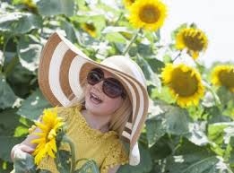 As one of my favorite flowers, seeing a sea of sunflowers makes me extremely happy. 2020 U Pick Sunflower Fields Guide For The Tampa Bay Area Family Friendly Tampa Bay